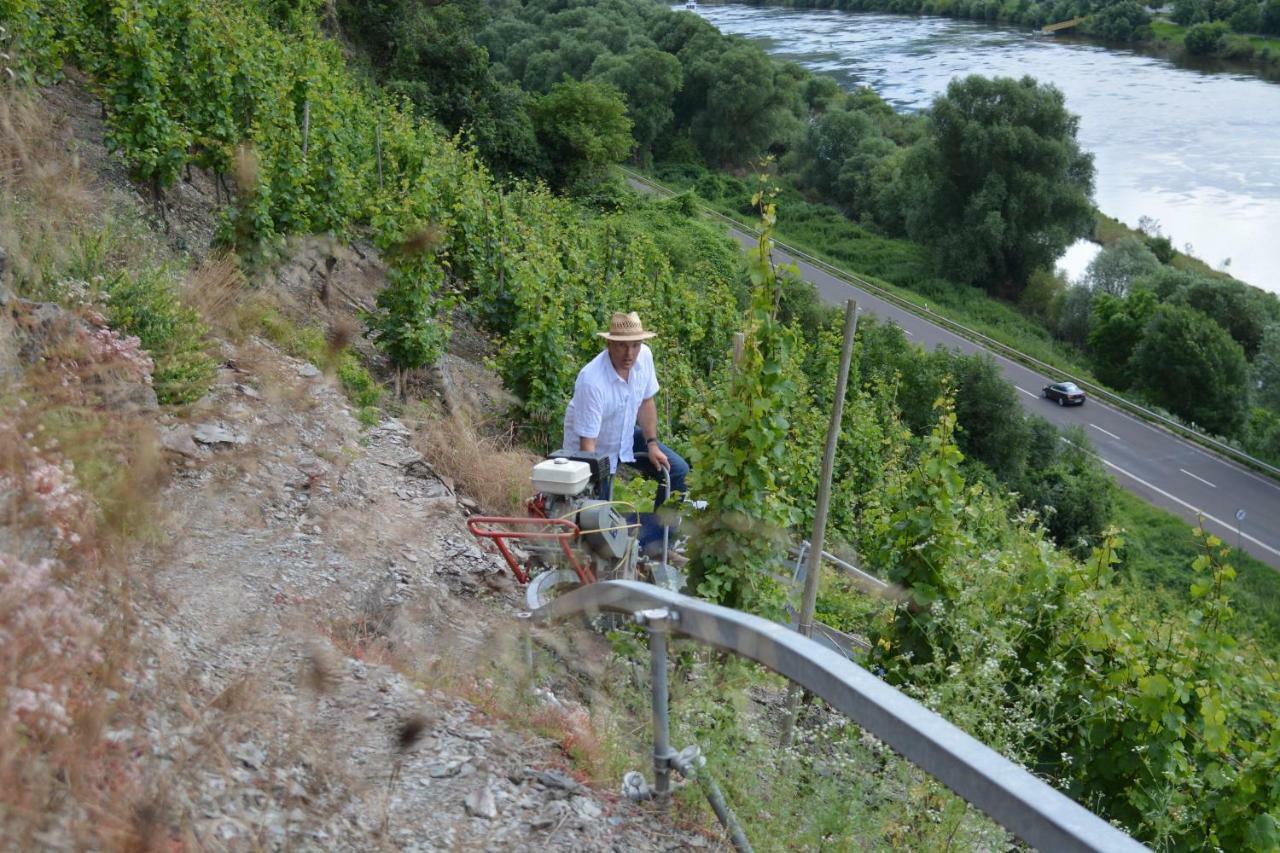 Weingut***Pension Günther Scholtes Leiwen Exterior foto