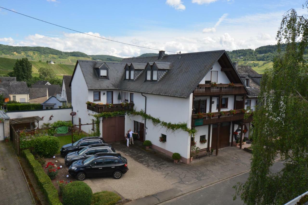 Weingut***Pension Günther Scholtes Leiwen Exterior foto